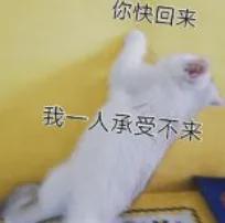 九游娱乐官方入口-2换1!即将交易首秀!伦纳德等回全明星后卫